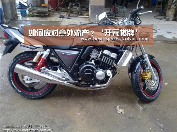 开云官网入口
