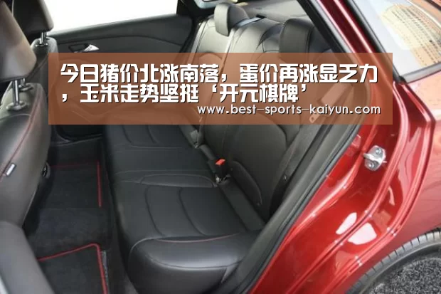开云官网入口