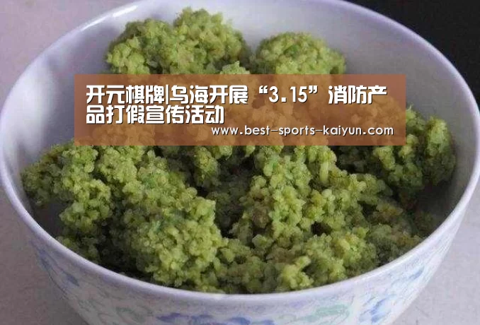 开元棋牌|乌海开展“3.15”消防产品打假宣传活动(图4) 开云官网入口