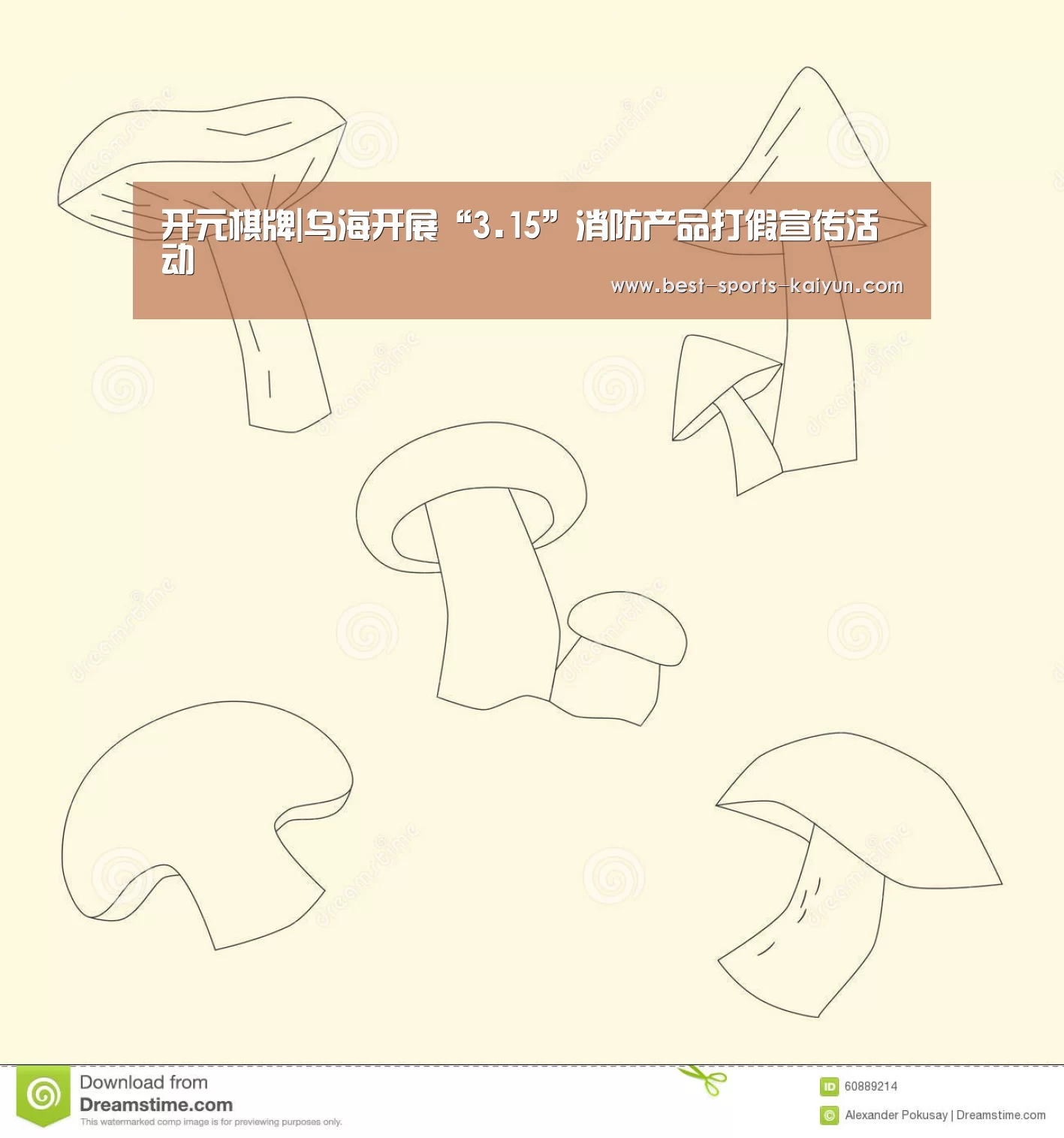 开元棋牌|乌海开展“3.15”消防产品打假宣传活动(图3) 开元棋牌