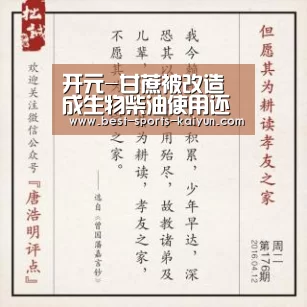 开云官网入口