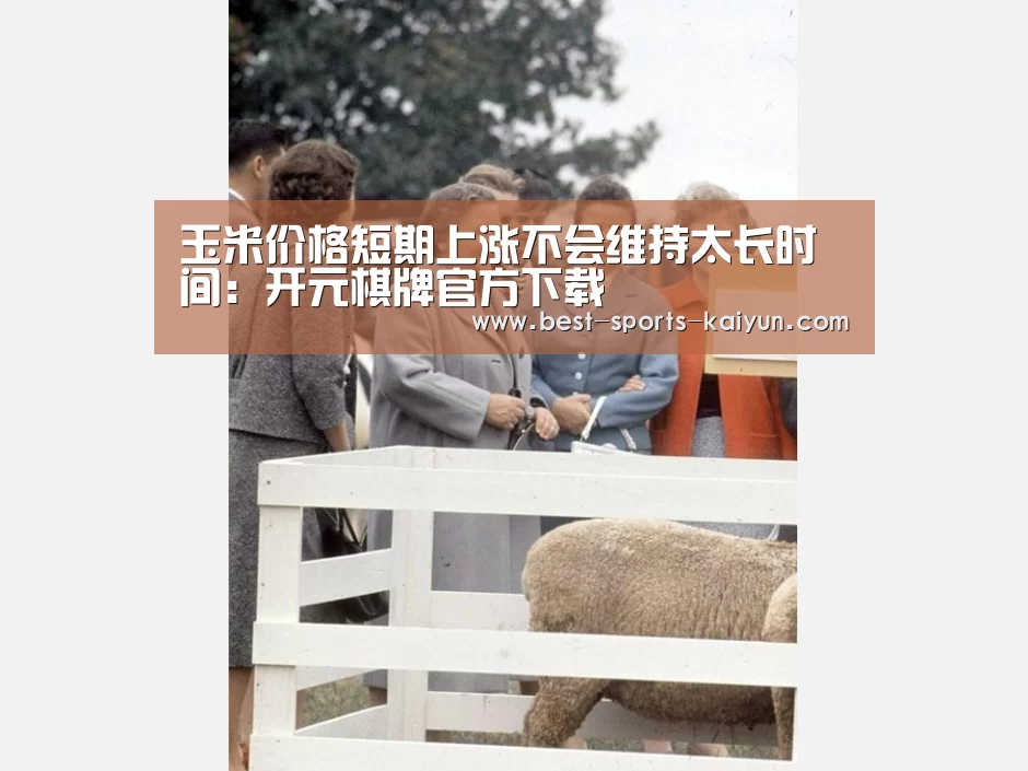 开云官网入口