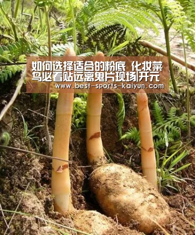 如何选择适合的粉底 化妆菜鸟必看贴远离鬼